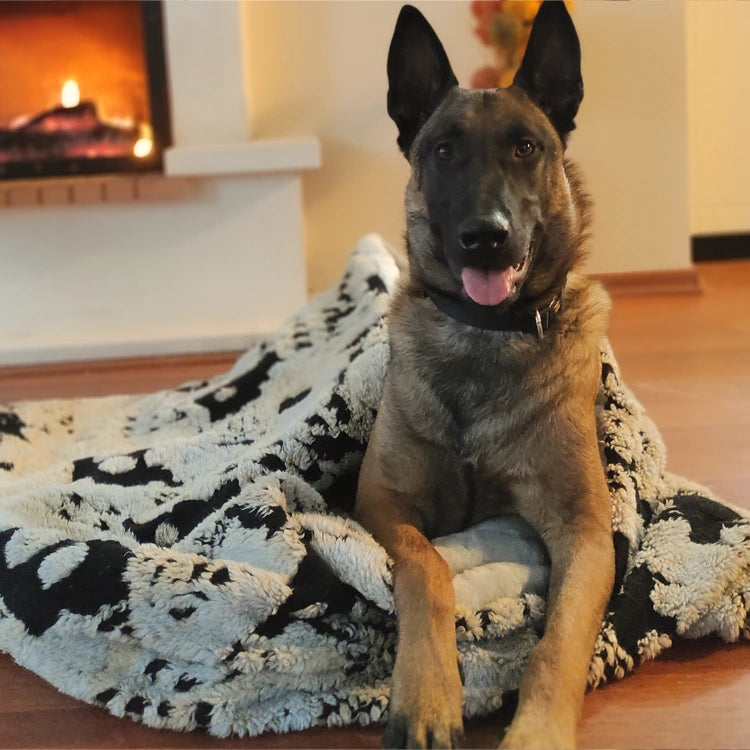 Dog Beds
