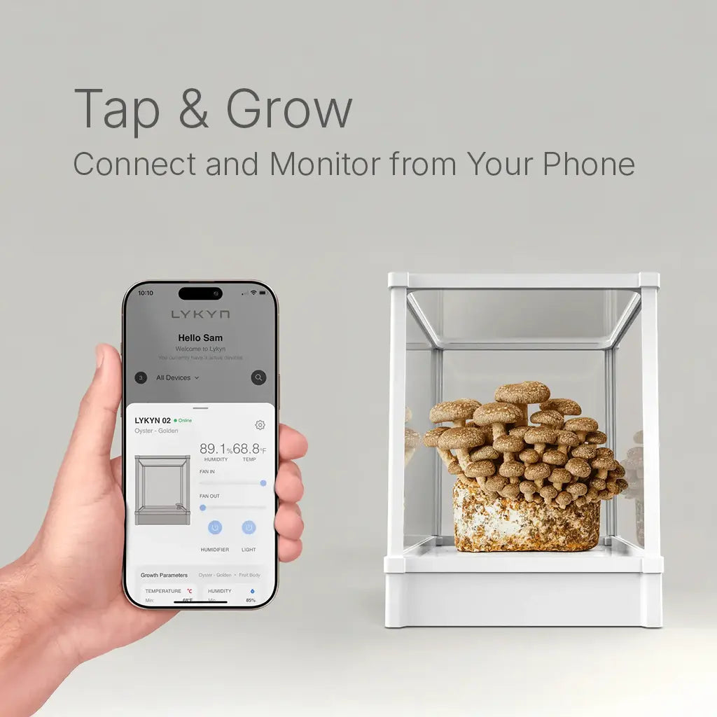 Mushroom Fruiting Blocks