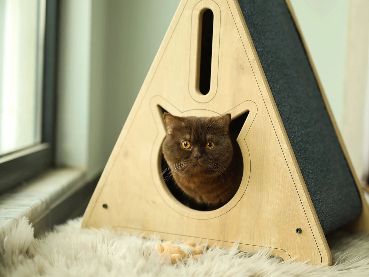cat scratcher house